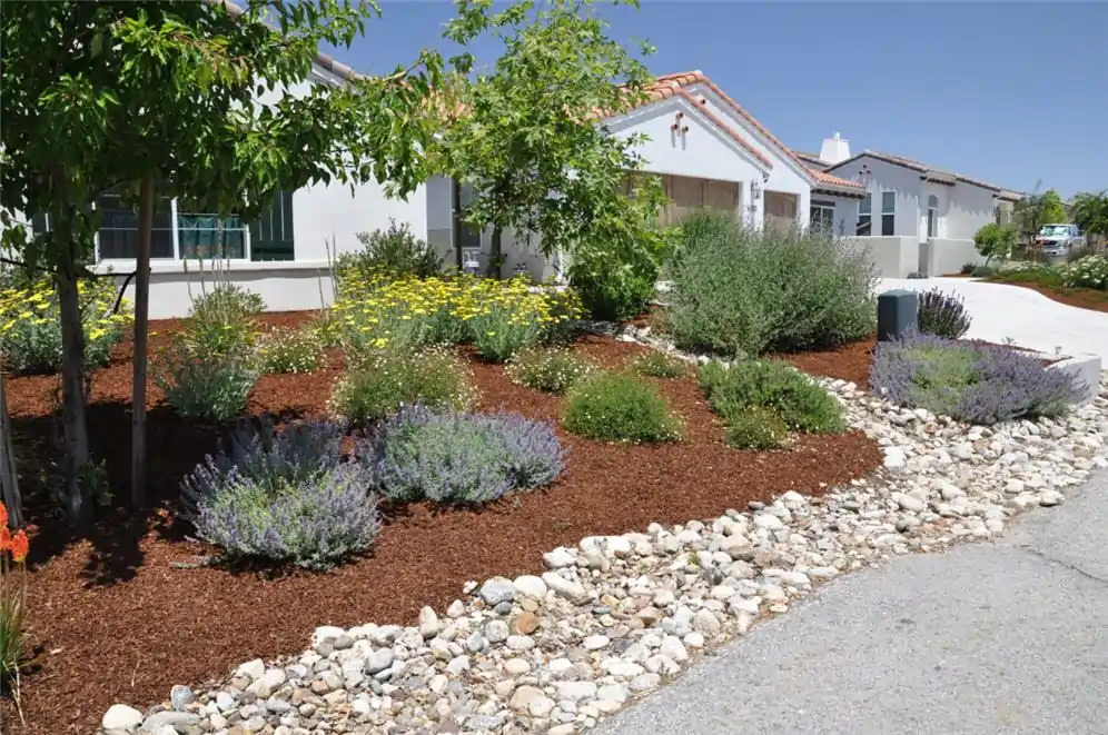 Front Garden with rocks