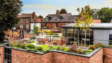 Rooftop Garden